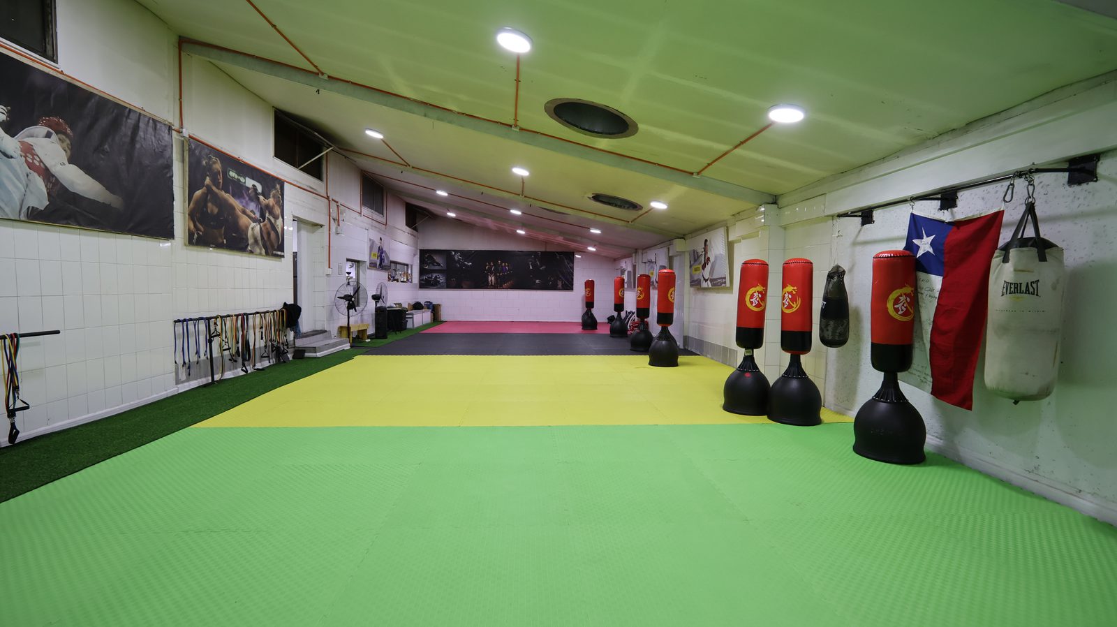 Tatami del gimnasio ADBJJ Peñalolén